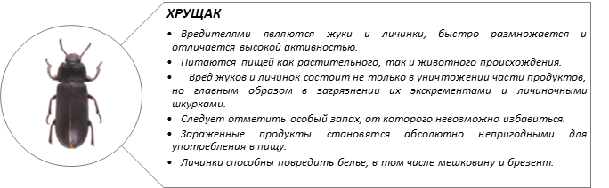 вставка6.png вставка6.png