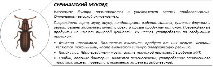 вставка 1 .png вставка 1 .png