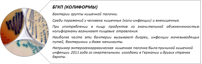 вставка5.png вставка5.png