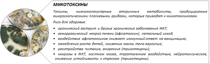 вставка 2.png вставка 2.png